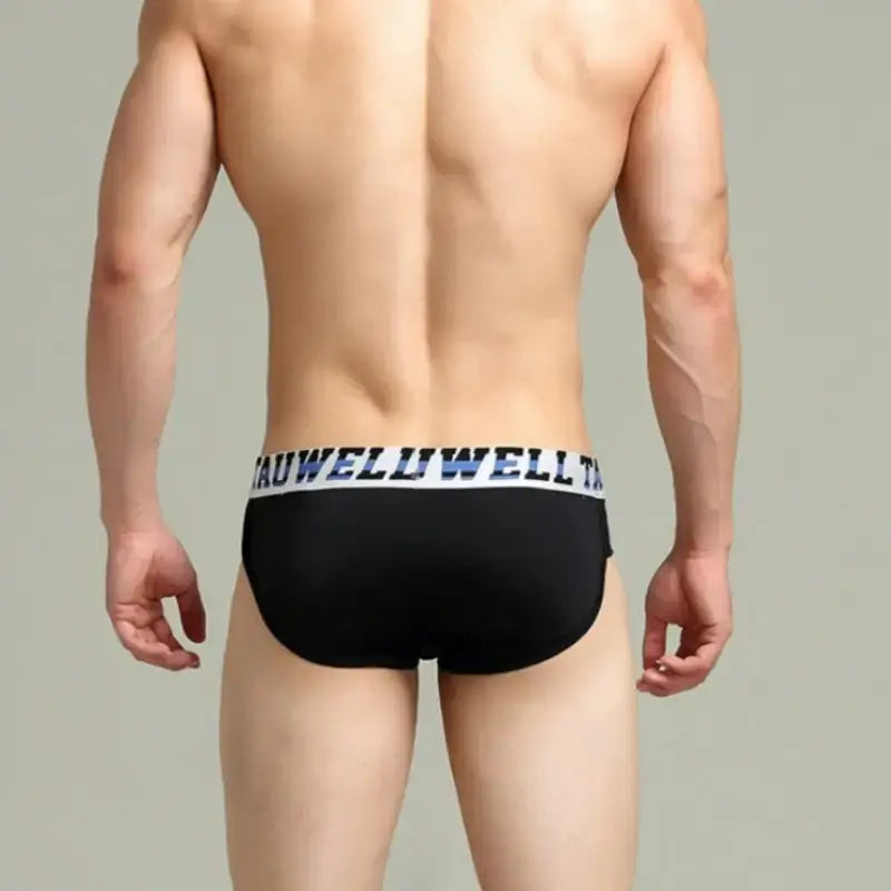 Tauwell Tauwell Men's Low Rise Briefs Sexy Bikini Underwear 23101