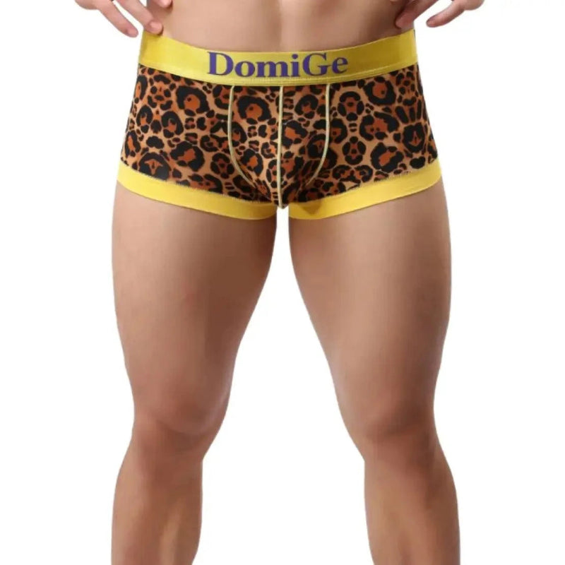 DomiGe low-rise trunks gold front view — bold gold logo waistband ribbed leg openings model	