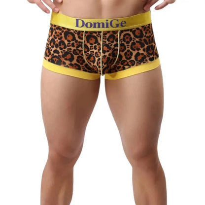 DomiGe low-rise trunks gold front view — bold gold logo waistband ribbed leg openings model	