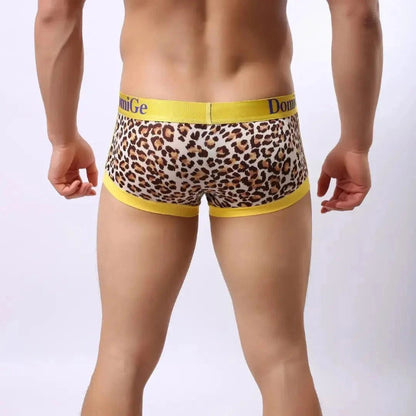 DomiGe low-rise trunks yellow rear view — ribbed leg openings clean finish model	